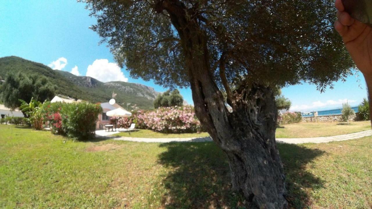Barbati Beach Holiday Apartment, Corfu,Greece Экстерьер фото